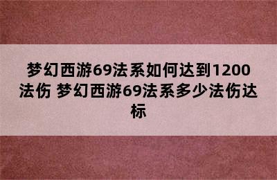 梦幻西游69法系如何达到1200法伤 梦幻西游69法系多少法伤达标